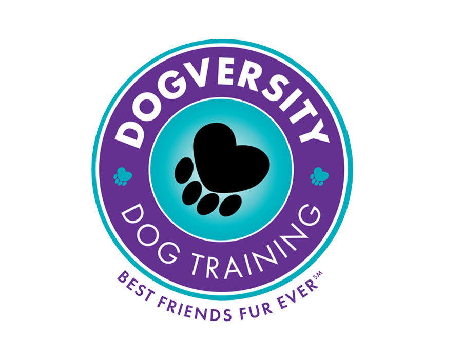 Best Friends Fur Ever Launches “Dogversity” featured image