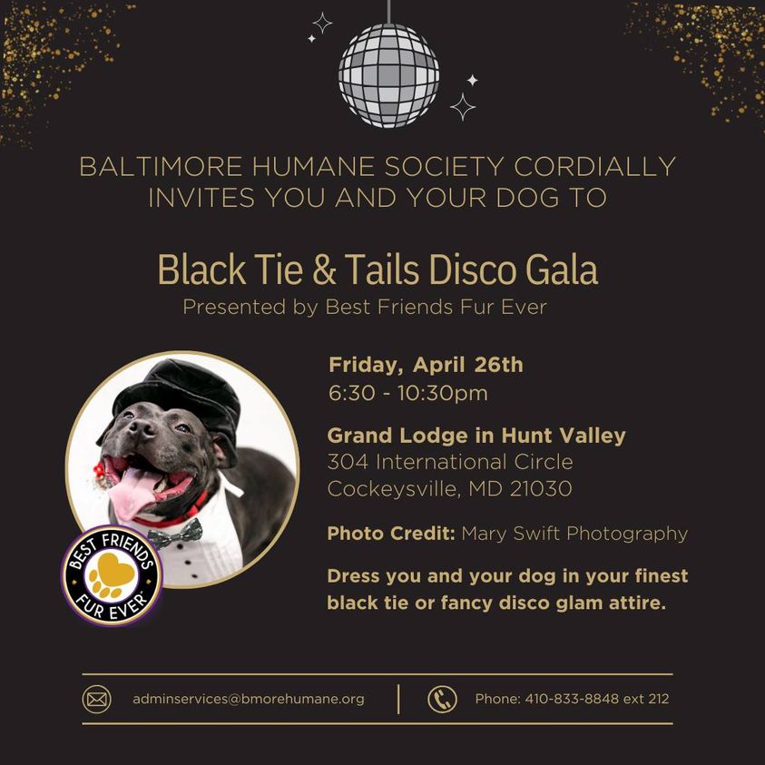 Black Tie and Tails Disco Gala is a fundraiser presented by Best Friends Fur Ever to raise funds for Baltimore Humane society